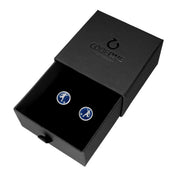 GEMELOS PICHICHI BLUE